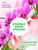 Гель для стирки Dutybox "Ночная орхидея" 5л + кондиционер "Тропические цветы" 5л